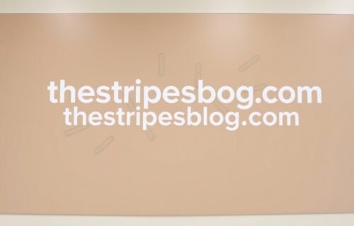thestripesblog .com