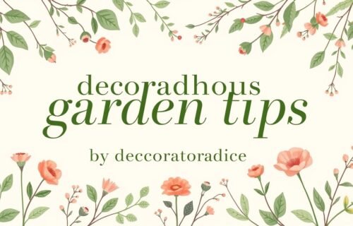 decoradhouse garden tips by decoratoradvice